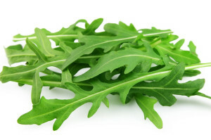 rucola